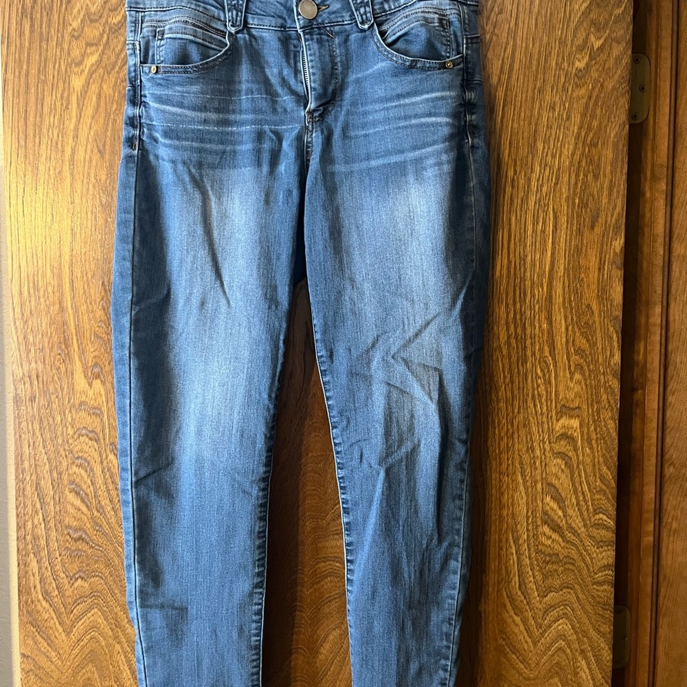 Democracy Classic Blue Skinny Jeans
